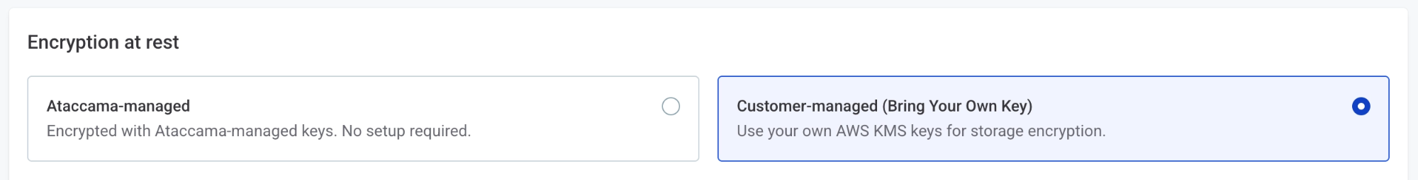 Encryption at rest step in the Create SaaS environment wizard