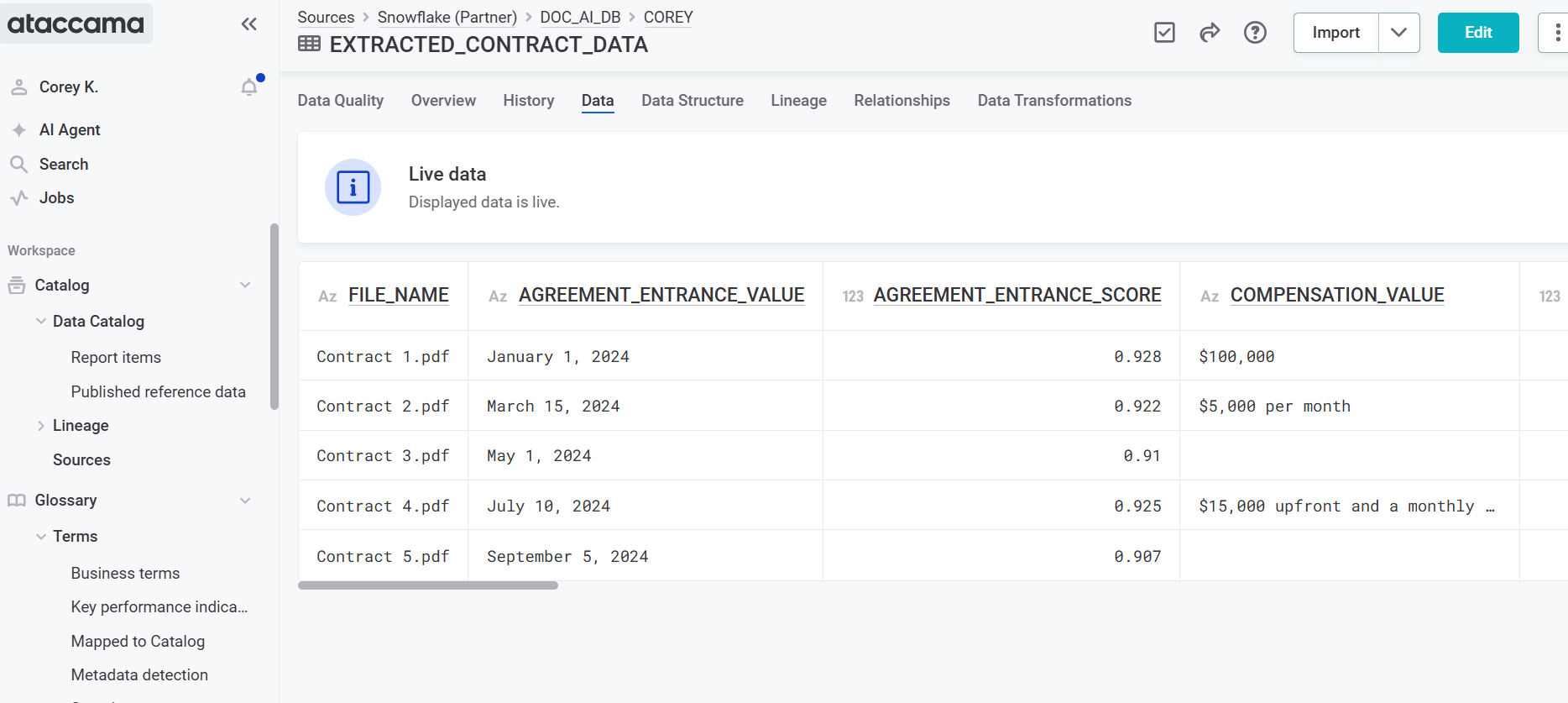 Data in Ataccama catalog