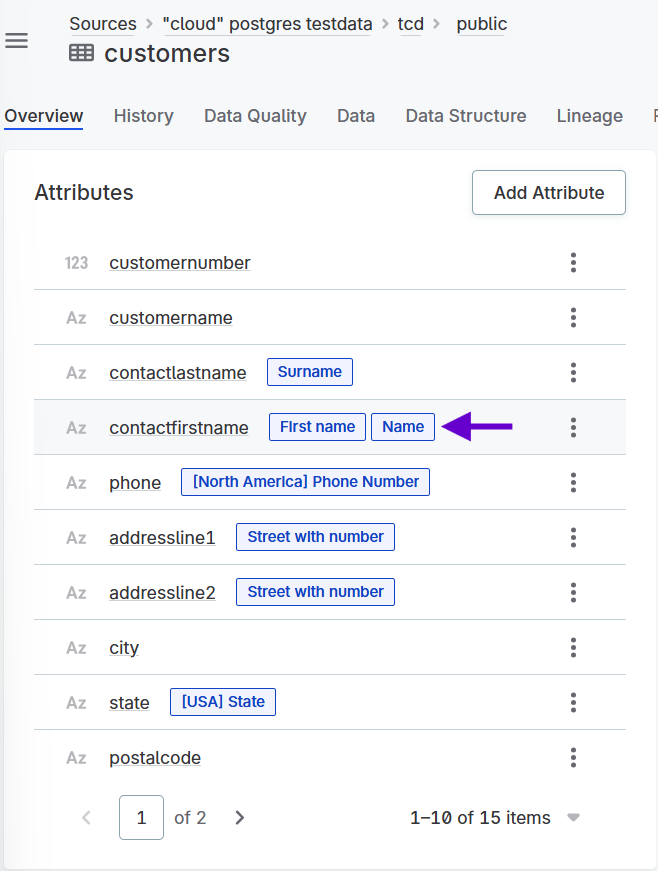Attribute showing the manually applied term