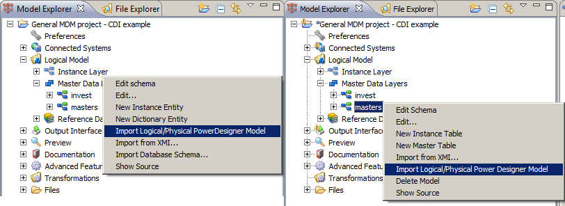 Instance and master data layer import selection