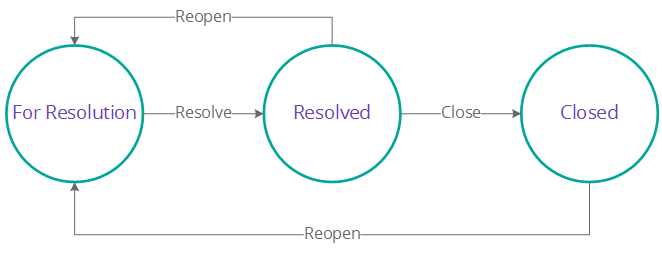 Issue resolution workflow