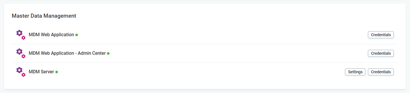 MDM Server settings option in the Master Data Management section