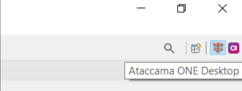 Ataccama ONE Desktop perspective
