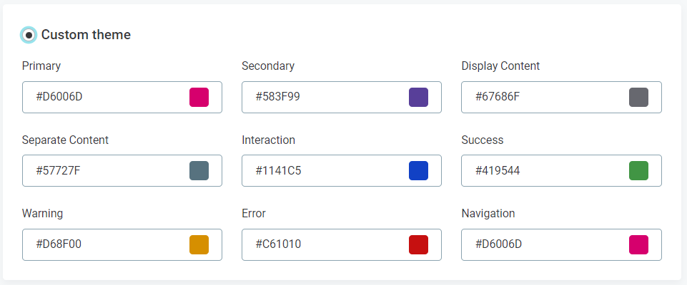 Custom theme options