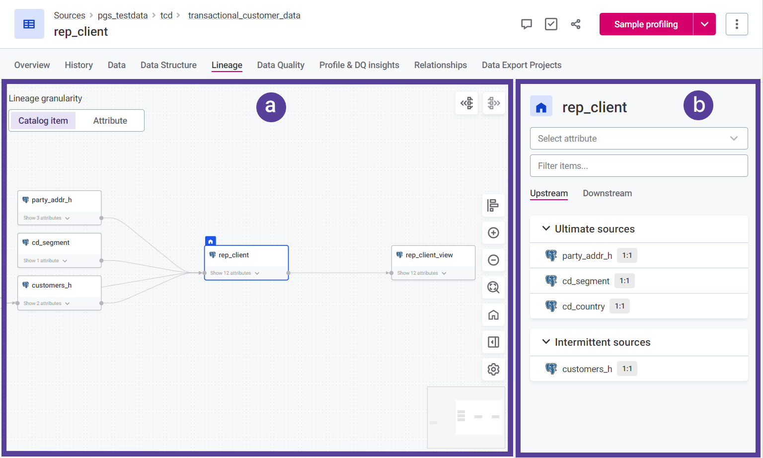 Lineage grpah overview