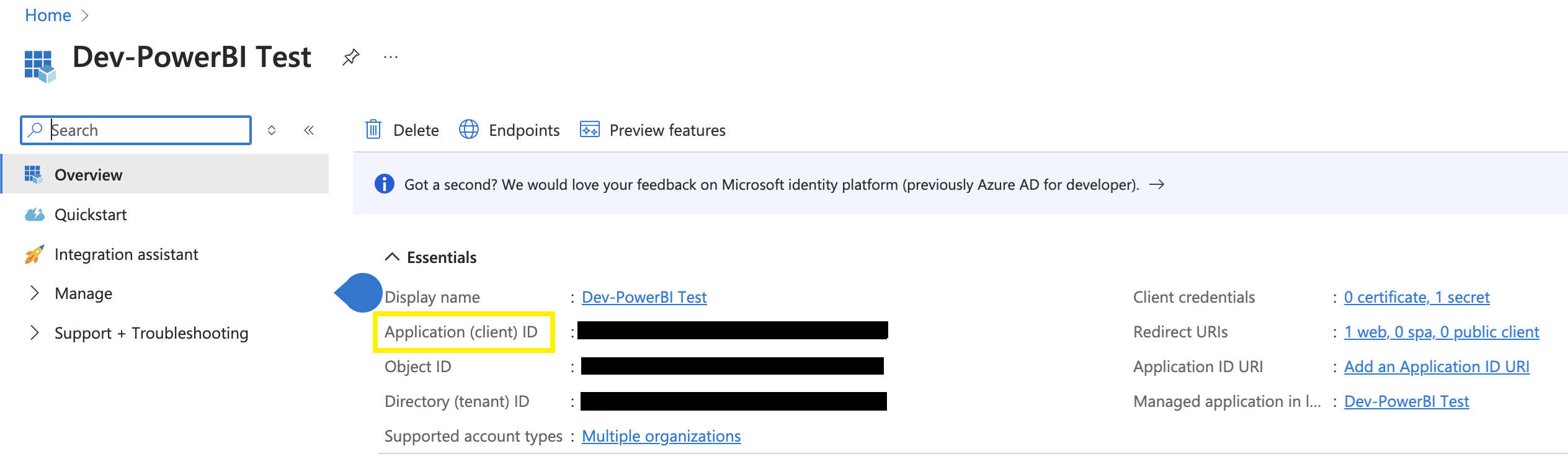 Azure Portal clientID
