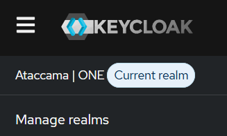Select Ataccama ONE realm