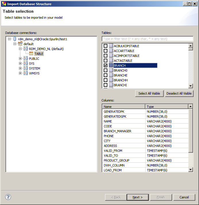 Create the RDM data model from database metadata